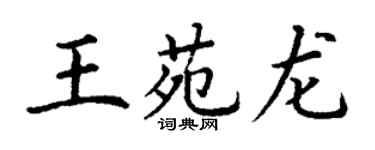 丁謙王苑龍楷書個性簽名怎么寫