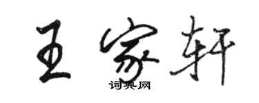 駱恆光王家軒行書個性簽名怎么寫