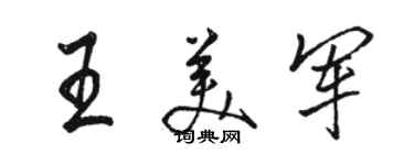 駱恆光王美軍行書個性簽名怎么寫