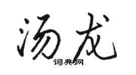 駱恆光湯龍行書個性簽名怎么寫