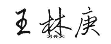 駱恆光王林庚行書個性簽名怎么寫