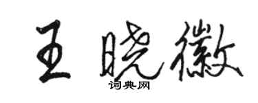 駱恆光王曉徽行書個性簽名怎么寫