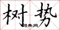 丁謙樹勢楷書怎么寫