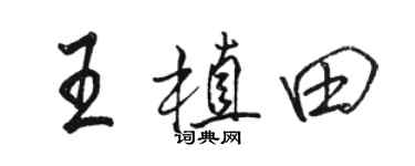 駱恆光王植田行書個性簽名怎么寫