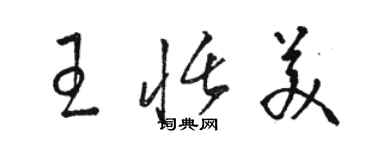 駱恆光王恬美草書個性簽名怎么寫