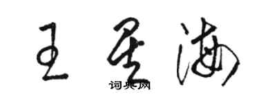 駱恆光王星海草書個性簽名怎么寫