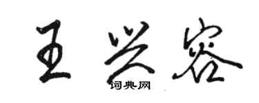 駱恆光王興容行書個性簽名怎么寫