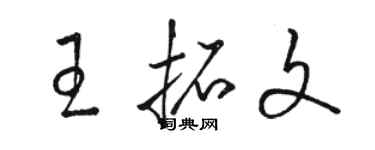 駱恆光王拓文草書個性簽名怎么寫