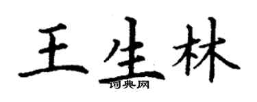 丁謙王生林楷書個性簽名怎么寫