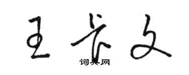 駱恆光王卡文草書個性簽名怎么寫