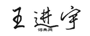 駱恆光王進宇行書個性簽名怎么寫