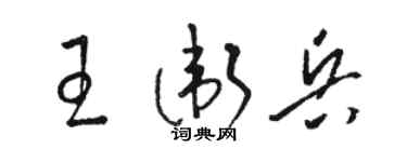 駱恆光王衛兵草書個性簽名怎么寫