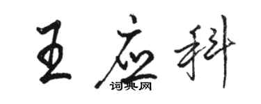 駱恆光王應科行書個性簽名怎么寫