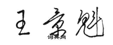 駱恆光王景魁草書個性簽名怎么寫