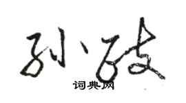 駱恆光孫政行書個性簽名怎么寫