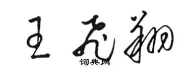 駱恆光王飛翔草書個性簽名怎么寫