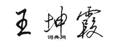 駱恆光王坤霞行書個性簽名怎么寫