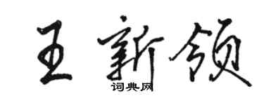 駱恆光王新領行書個性簽名怎么寫