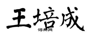 翁闓運王培成楷書個性簽名怎么寫