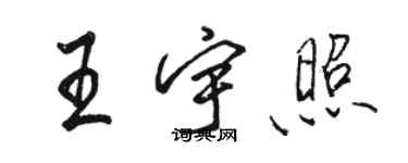 駱恆光王宇照行書個性簽名怎么寫