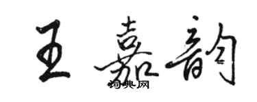 駱恆光王嘉韻行書個性簽名怎么寫