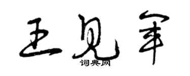 曾慶福王見軍草書個性簽名怎么寫