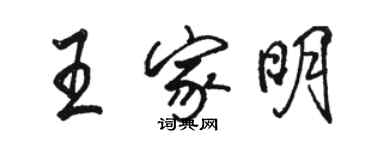 駱恆光王家明行書個性簽名怎么寫