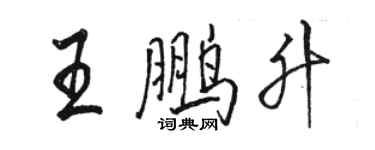 駱恆光王鵬升行書個性簽名怎么寫