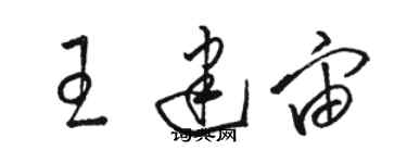 駱恆光王建宙草書個性簽名怎么寫