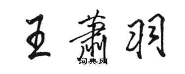 駱恆光王蕭羽行書個性簽名怎么寫