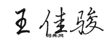 駱恆光王佳駿行書個性簽名怎么寫