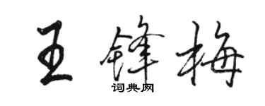 駱恆光王鋒梅行書個性簽名怎么寫