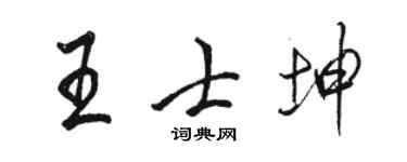駱恆光王士坤行書個性簽名怎么寫
