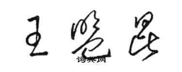 駱恆光王盟昆草書個性簽名怎么寫