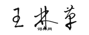 駱恆光王林革草書個性簽名怎么寫