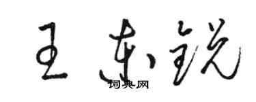 駱恆光王東銳草書個性簽名怎么寫