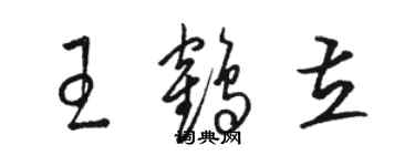 駱恆光王鶴立草書個性簽名怎么寫
