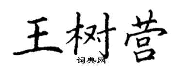丁謙王樹營楷書個性簽名怎么寫