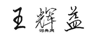 駱恆光王輝益行書個性簽名怎么寫