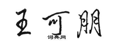 駱恆光王可朋行書個性簽名怎么寫