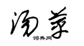 朱錫榮湯苹草書個性簽名怎么寫