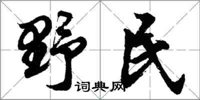 胡問遂野民行書怎么寫