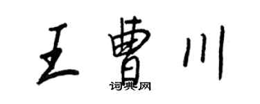 王正良王曹川行書個性簽名怎么寫