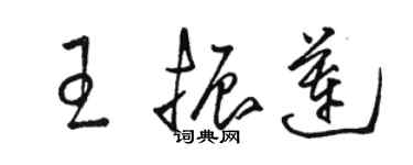 駱恆光王振蓮草書個性簽名怎么寫