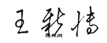 駱恆光王新博草書個性簽名怎么寫