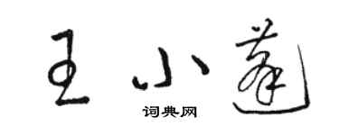 駱恆光王小蓬草書個性簽名怎么寫