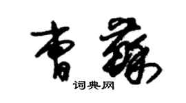 朱錫榮曹蘇草書個性簽名怎么寫