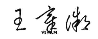 駱恆光王章微草書個性簽名怎么寫