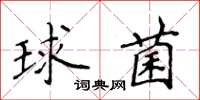 侯登峰球菌楷書怎么寫