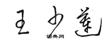 駱恆光王少蓮草書個性簽名怎么寫